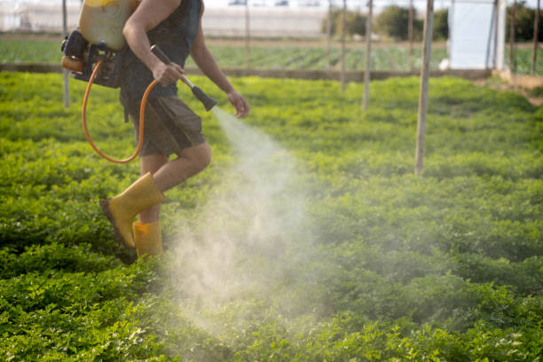 Best Pest Control for Homes  in Lakemont, PA