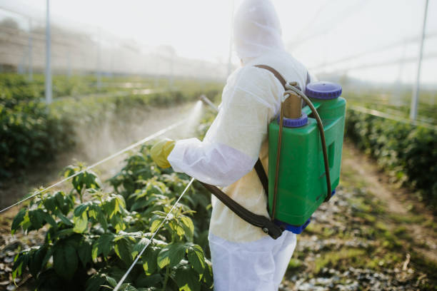 Best Exterminator Services  in Lakemont, PA